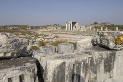 Miletus 2007 4595.jpg