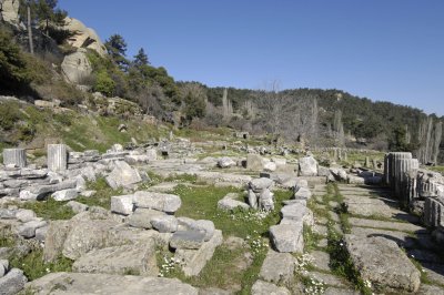 Labranda Temple of Zeus 5639.jpg