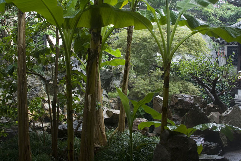 Yu garden, Shanghai