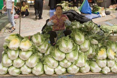 China cabbage