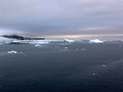The Antarctic Sound