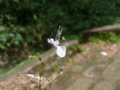 P1000228.jpg