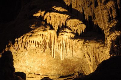 _DSC4083.jpg