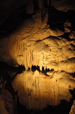 _DSC4085.jpg