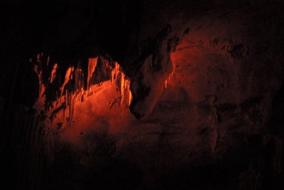 _DSC4105.jpg