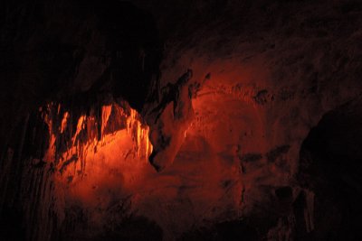 _DSC4107.jpg