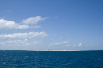 _DSC4388.jpg