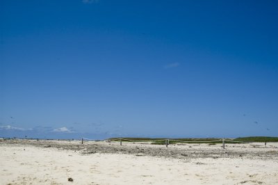 _DSC4423.jpg
