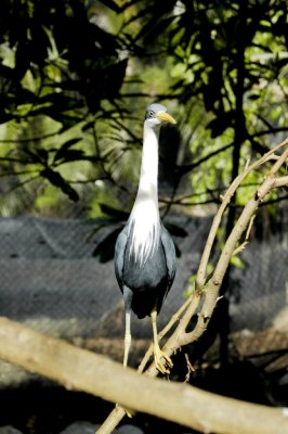 _DSC4482.jpg