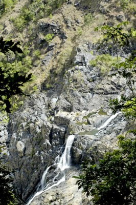 _DSC4660.jpg