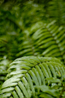_DSC4680.jpg