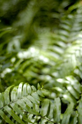 _DSC4681.jpg