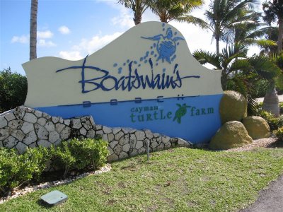 Boatswains Turtle Farm, Grand Cayman Island