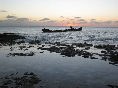 Lobster has also been spotted at the site.  The Wreck of the Cali is about 50 yards out, and is accessible from both Rackam's or Hammerhead Pub on the waterfront.