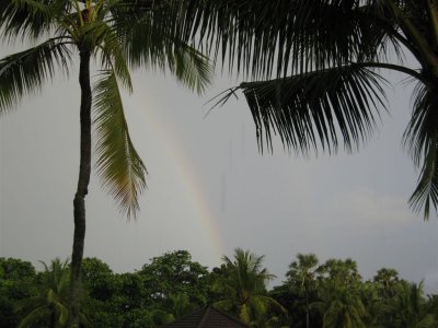 rainbow one morning