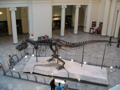 Sue