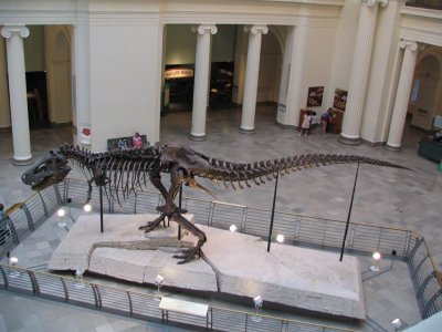 Sue