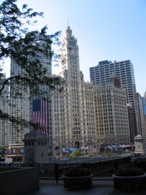 IMG_9525.jpg