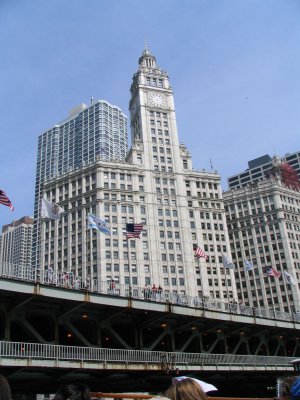 IMG_9554.jpg