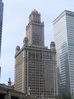 IMG_9555.jpg