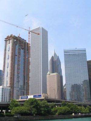 IMG_9575.jpg