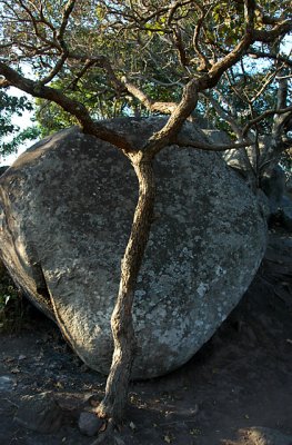 Piedras de los Apostoles