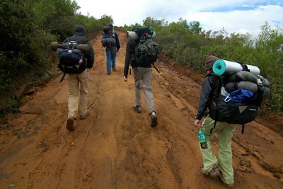 Up the Trail