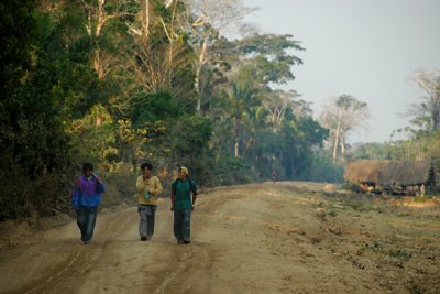 Walking to the Fields