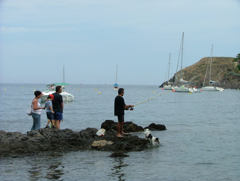 Collioure