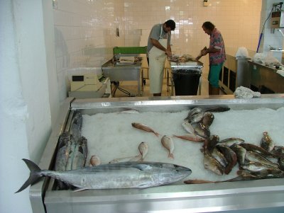 TunaFish in the Shop -Carmen
