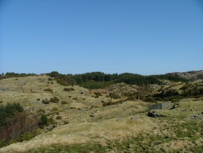 Once a place for SummerHold of Cows and Sheep