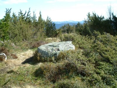 Stone of King Haakon the GoodHearted at BergfjordFjellet