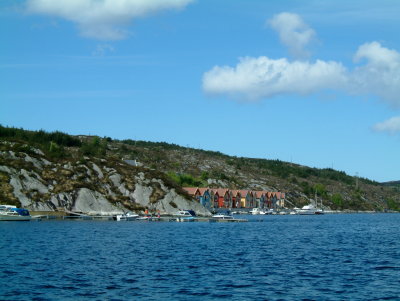 Skogsvg.JPG