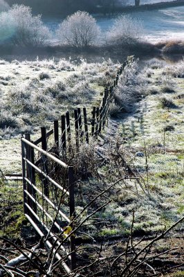 Frosty Fields of Cumbria