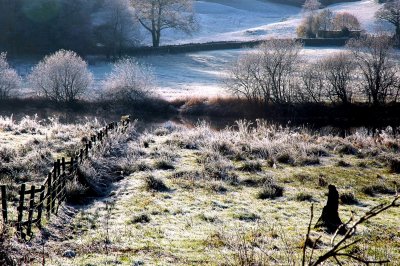 Frosty Fields