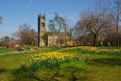 Church in Ashton-Under-Lyne with Blooming Daffodils.