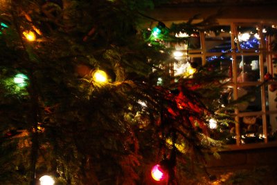 Castleton's Christmas Tree Lights