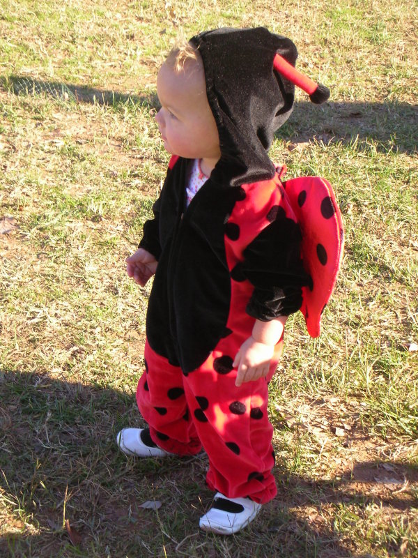 ladybug profile.jpg