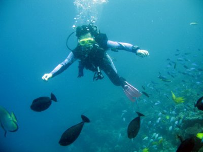 cebu_diving