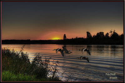 sunset ducks.jpg