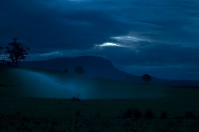 Moonlit irrigation