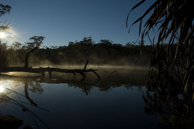 Morning reflections