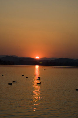 DSC_4988 800 8q.jpg