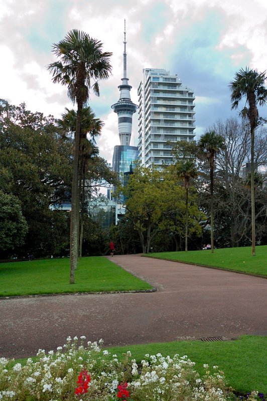 Skytower from Albert Park