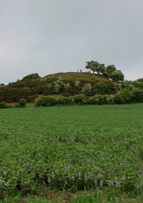 Castle Hill Motte