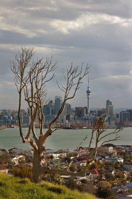 Auckland from Victoria Peak