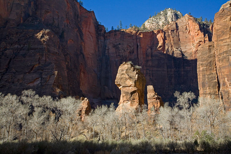 Zion Contrast.jpg