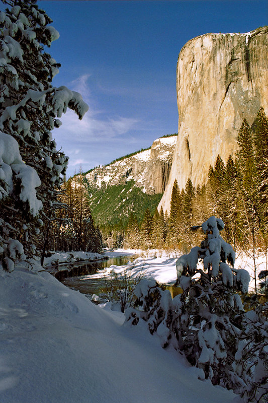 Winter View of El Capitan.jpg
