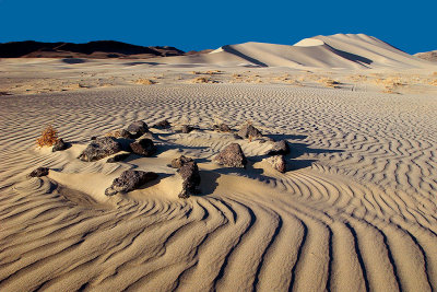 Rocks in the Sand Dunes.jpg