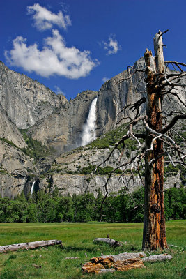 Upper and Lower Yosemite Falls.jpg